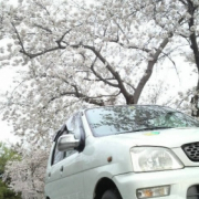 「愛車と桜と」あなたの傑作写真をマグネットにいたします。の投稿画像