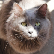 「春の日差しと美少年」あなたの傑作写真をマグネットにいたします。の投稿画像