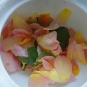 「ローズティー」ル・ノーブル◆食器写真の投稿で、ヴィクトリア女王も愛したティーカッププレゼント♪の投稿画像