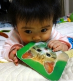 ネコちゃんかじってごきげん♪