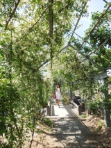 口コミ：アロマの日焼け止め☆【Aroma & Mosquito】ピュア ホワイト ミルク UVの画像（5枚目）