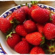 「いちご」【本格的な写真集作成のフエルフォトブック】☆ＧＷに撮った想い出写真☆大募集！の投稿画像