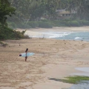 「ハワイの風景」あなたの写真がカレンダーに★森永アイスカレンダー写真大募集！の投稿画像