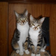 「並んで～」あなたもカメラマンデビューしませんか？商品を素敵にとって現品の泥パックGET!の投稿画像