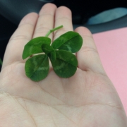 「幸せになれるかな」あなたの写真がカレンダーに★森永アイスカレンダー写真大募集！の投稿画像