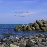 「海とテトラポット」海中散歩シーウォーカーペアチケットプレゼント（13000円相当）の投稿画像