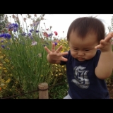 はんどぱわー？！