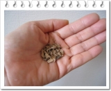 口コミ：話題の「国産ゴボウ茶」の画像（3枚目）