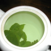 「水出しレモングラス」【クリンスイ商品プレゼント】&rdquo;冷たい飲みもの&rdquo;写真を募集☆の投稿画像