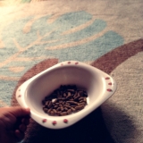 口コミ：人が食べれる食材で作った無添加ドックフード。の画像（4枚目）