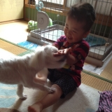 口コミ：人が食べれる食材で作った無添加ドックフード。の画像（1枚目）