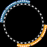 「がんばるぞ♪」【近江牛の千成亭】美味しい笑顔の輪募集！近江牛上カルビ300ｇ【3名様に】の投稿画像