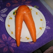 「セクシーな人参」幸せおすそわけキャンペーン☆名前入りカレンダー「ハピカレ」をプレゼントの投稿画像