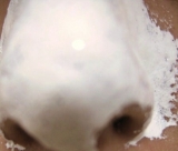 「おお～♪」の画像（2枚目）