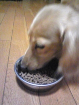 口コミ：無添加ドッグフード安心をお試ししたワン♪の画像（2枚目）