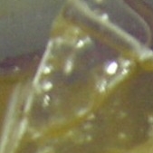 「部分的？」【透明な氷】の写真を募集！ ☆ポヨンぬいぐるみを10名様に☆の投稿画像