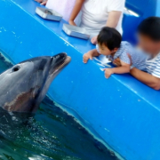 「イルカとにらめっこ♪」第25弾_夏の思い出写真を投稿してAmazonギフト券をゲット！の投稿画像