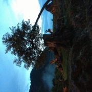 「ナイトサファリ」第25弾_夏の思い出写真を投稿してAmazonギフト券をゲット！の投稿画像