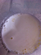 口コミ：手作りヨーグルト【プロピル】の画像（1枚目）