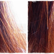 「『ダメージヘア』」夏に傷んだヘアをSY102でケア！写真のテーマ『ダメージヘア』の投稿画像