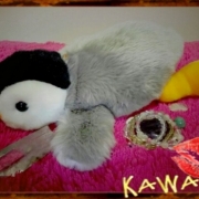 「お気に入りgoodsたち♪」1週間限定☆幸せおすそわけキャンペーンの投稿画像