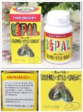 「緑イ貝のパワーでエイジングケア♪」の画像