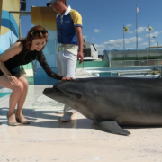 「されて嬉しかったサプライズ」幸せおすそわけキャンペーン「ハピカレ＆プリザーブドフラワー」をプレゼントの投稿画像