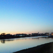 「台風一過」幸せおすそわけキャンペーン「ハピカレ＆プリザーブドフラワー」をプレゼントの投稿画像