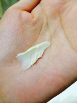 口コミ：オーガニックのデイ＆ナイトクリームの画像（2枚目）