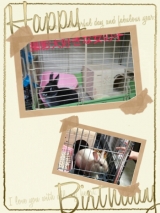 口コミ記事「モニター当選品こまめ手袋」の画像