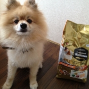 「添付します」【ペット動画募集】ペットが喜ぶイオンシャワー！ピュアラブリー モニター募集！の投稿画像