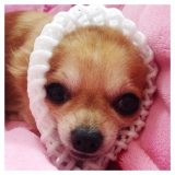 口コミ：＊試してみました＊の画像（1枚目）