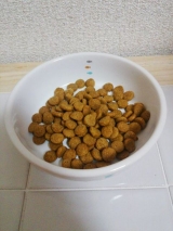 口コミ：【猫】にゃあ達のクリスマスプレゼント☆おもいやりフード【モニター】の画像（2枚目）