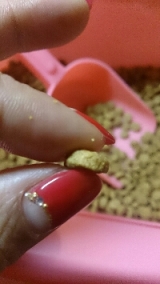 口コミ：プラセンタ配合♪猫ちゃんのエイジングケアに特化したおもいやりフードを試してみたの画像（6枚目）