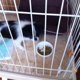 口コミ：感想☻の画像（1枚目）