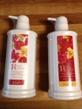 口コミ記事「リッカロッコ」の画像