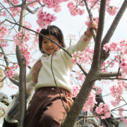 「記念樹」【写真を撮って印刷しよう】高品質互換インク+L判写真紙印刷セット10名募集の投稿画像
