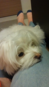 口コミ：オリゴのおかげの画像（3枚目）