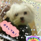 口コミ：オリゴのおかげの画像（4枚目）