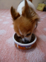 口コミ：人が食べれる食材で作った評判の「無添加ドッグフード安心」の画像（1枚目）