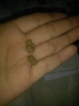 口コミ：ドックフード安心！！モニターさせていただきました！の画像（4枚目）