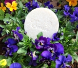 「春のお花が満開です。」の画像（3枚目）