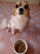 口コミ：人が食べれる食材で作った評判の「無添加ドッグフード安心」の画像（1枚目）