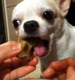 「キュッキュです♪」の画像（1枚目）