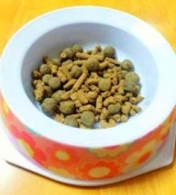 口コミ：*無添加ドッグフード安心*の画像（1枚目）