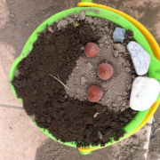 「ママの顔♪」【写真投稿】お子さまの作品、みせてください！☆紙工作ドリルプレゼント☆の投稿画像