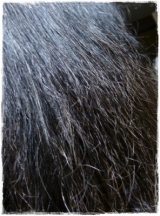 口コミ：【メディプラス】★ヘアトリートメントゲル10日分＠モニプラの画像（7枚目）