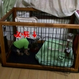 口コミ：モニター*無添加ドッグフード安心の画像（4枚目）