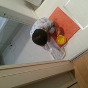 「過炭酸ナトリウム」【画像投稿】我が家のお気に入り・こだわりの場所をパチリ★新玉ねぎかくし玉 2kgの投稿画像