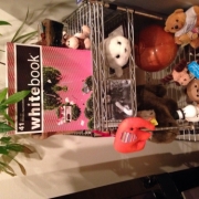 「旅の思い出ラック」【画像投稿】我が家のお気に入り・こだわりの場所をパチリ★新玉ねぎかくし玉 2kgの投稿画像